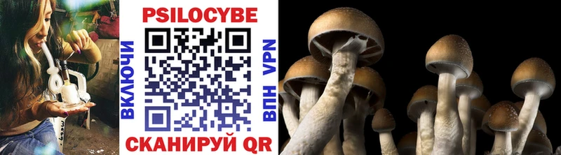 Галлюциногенные грибы Cubensis Красноярск